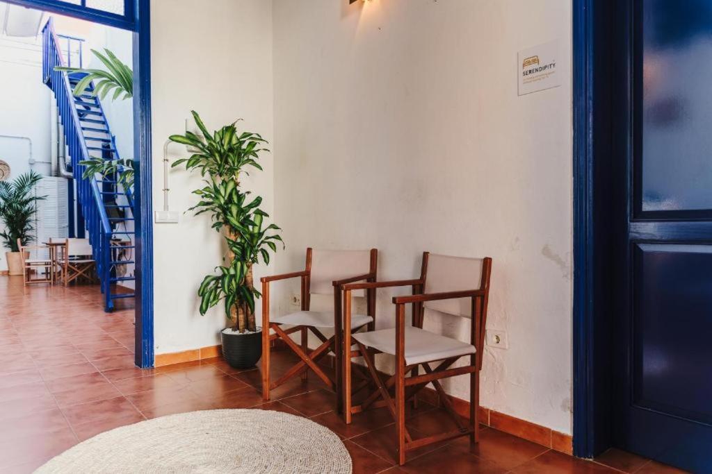 Alberg Ashavana Nest Hostel