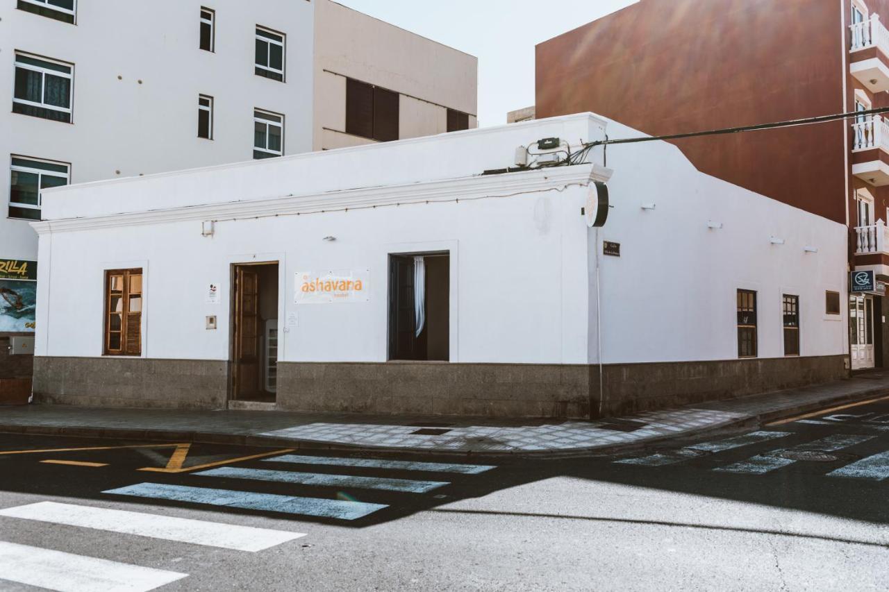 Ashavana Nest Hostel *