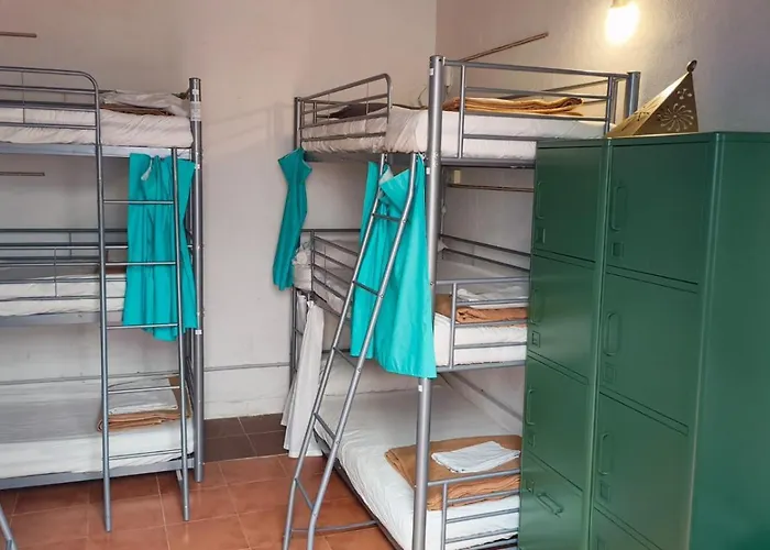 Ashavana Nest Hostel