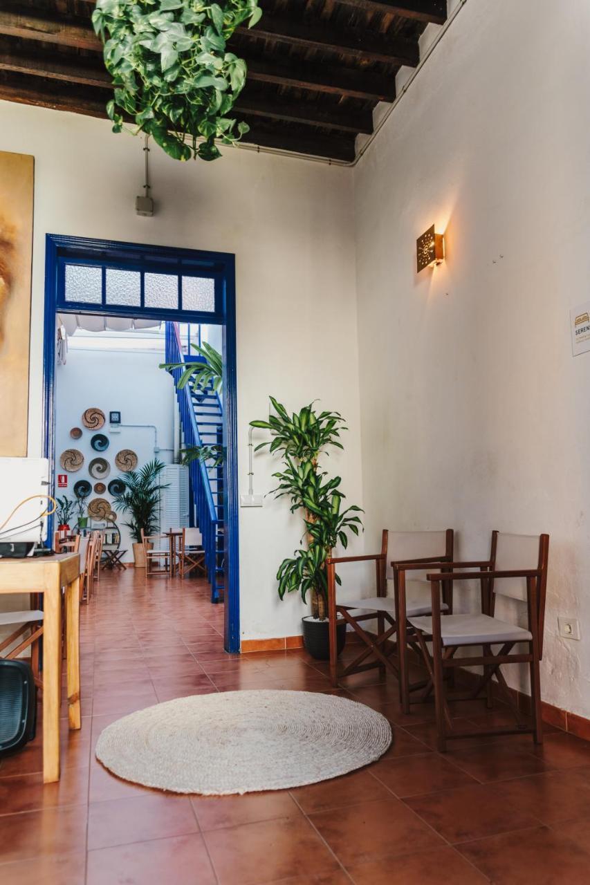 Ashavana Nest Hostel Hostel El Medano (Tenerife)