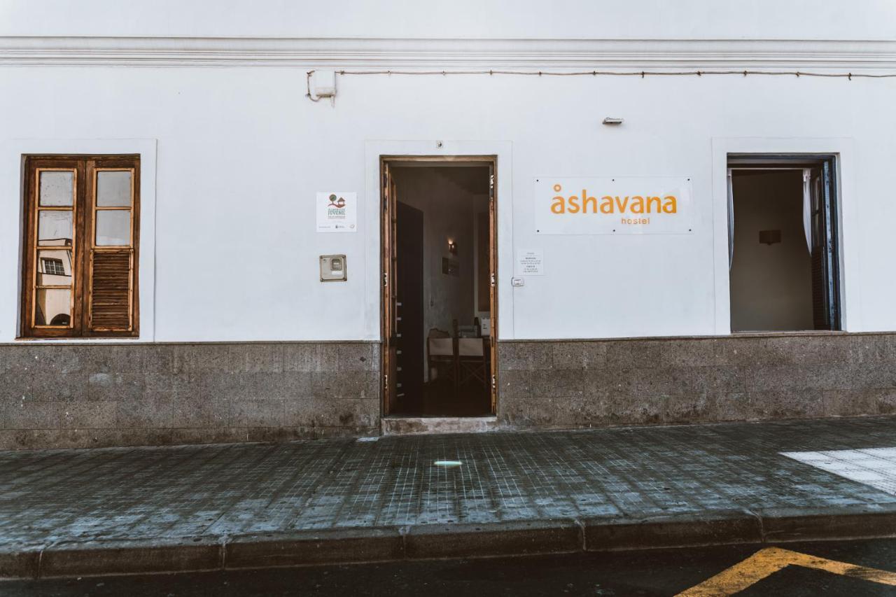 Ashavana Nest Albergue *